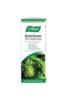 Bronchosan Pine Cough syrup 100ml