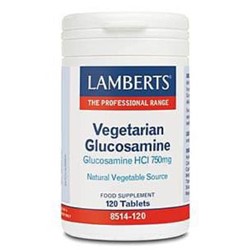 Glucosamine Vegetarian formula 120 tablets