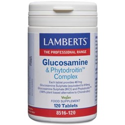 Glucosamine & Phytodroitin™ Complex 120 tablets