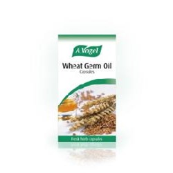 Wheat Germ Oil 120 capsules