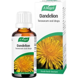 Dandelion (Taraxacum) 50ml tincture