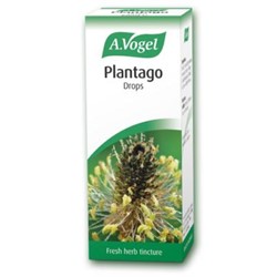Plantago lanceolata 50ml tincture