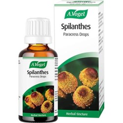 Spilanthes oleracea 50ml tincture