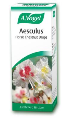 Horse Chestnut - Aesculus (Hippocasanum) 50ml