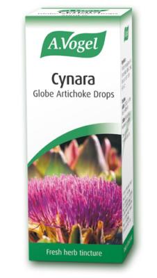 Artichoke (Cynara scolymus ) 50ml tincture
