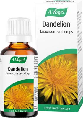 Dandelion (Taraxacum) 50ml tincture