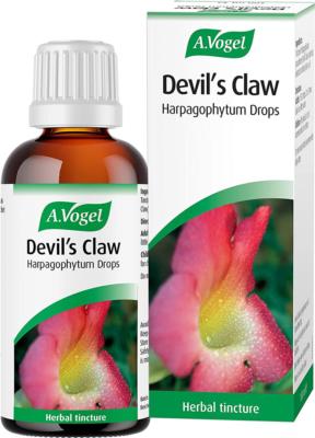 Devil's Claw (Harpagophytum procumbens) 50ml & 100ml tincture -  SuperSupps.com
