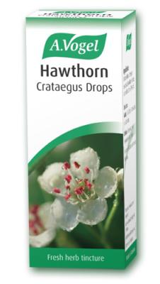 Hawthorn (Crataegus) 50ml tincture