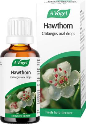 Hawthorn (Crataegus) 50ml tincture