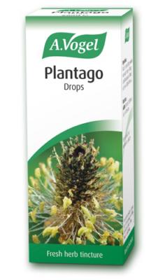 Plantago lanceolata 50ml tincture