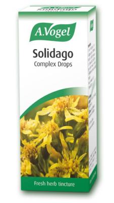 Solidago Complex 50ml tincture