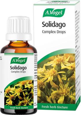 Solidago Complex 50ml tincture