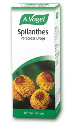 Spilanthes oleracea 50ml tincture