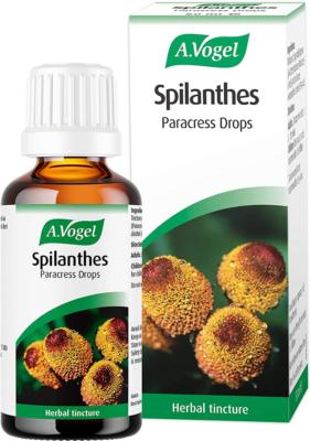 Spilanthes oleracea 50ml tincture