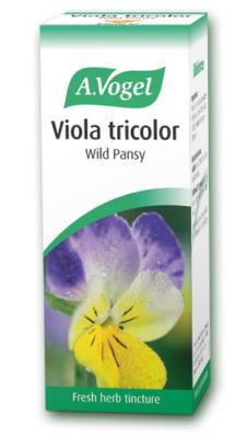 Viola tricolor (Wild Pansy) 50ml tincture